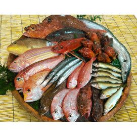 魚河岸 中與商店